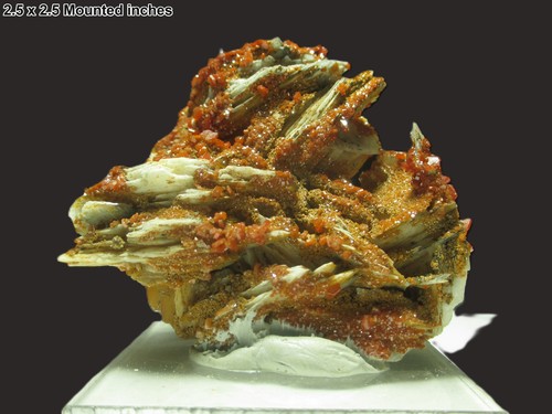 Vanadinite barite - vanadinite, on