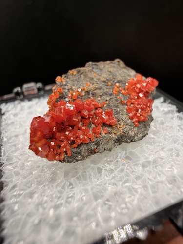 Rare locale scarlet red - rare,